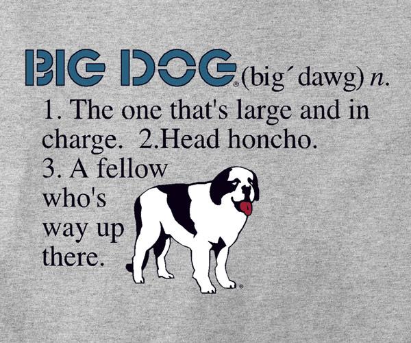 Big Dog Defined T-Shirt - Image 2