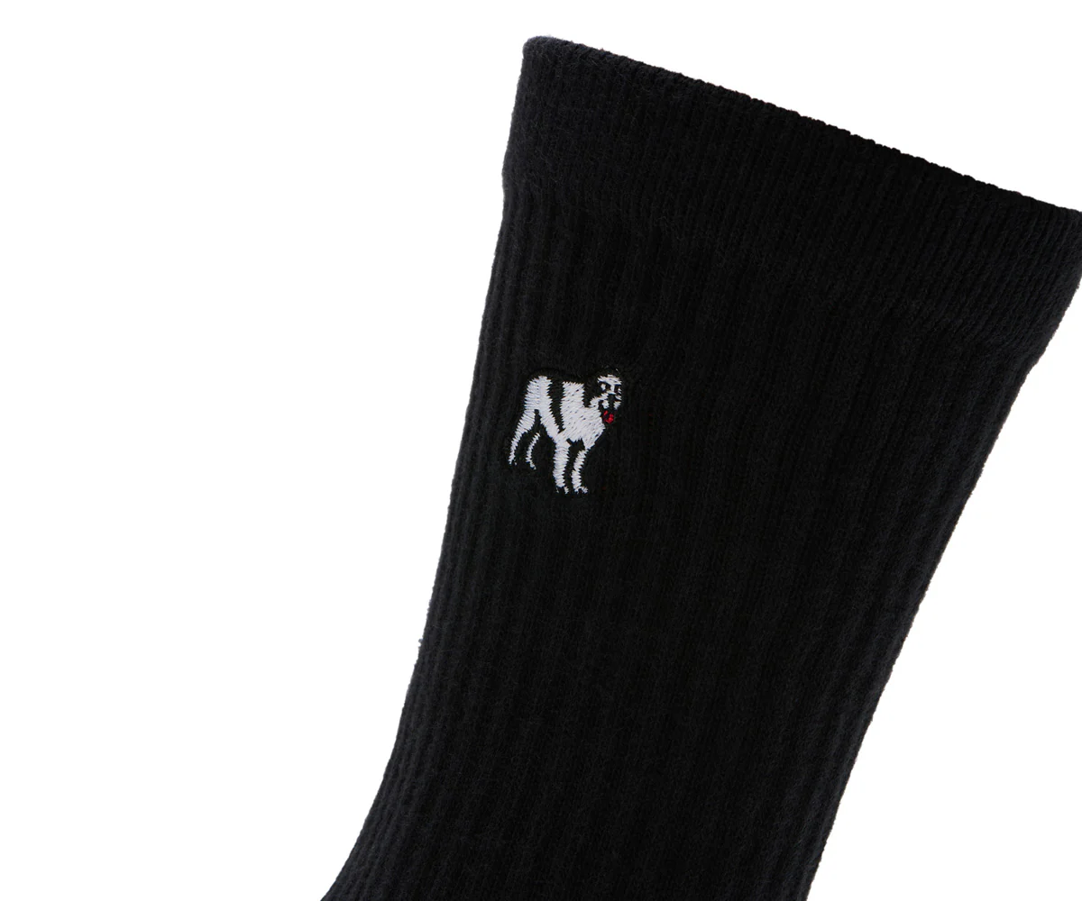 Big Dogs Sock 3 Pack - Image 2