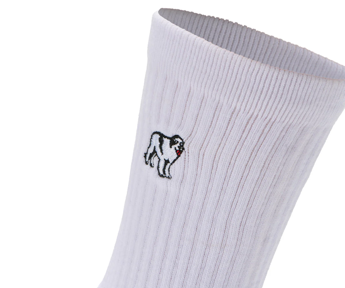 Big Dogs Sock 3 Pack - Image 2