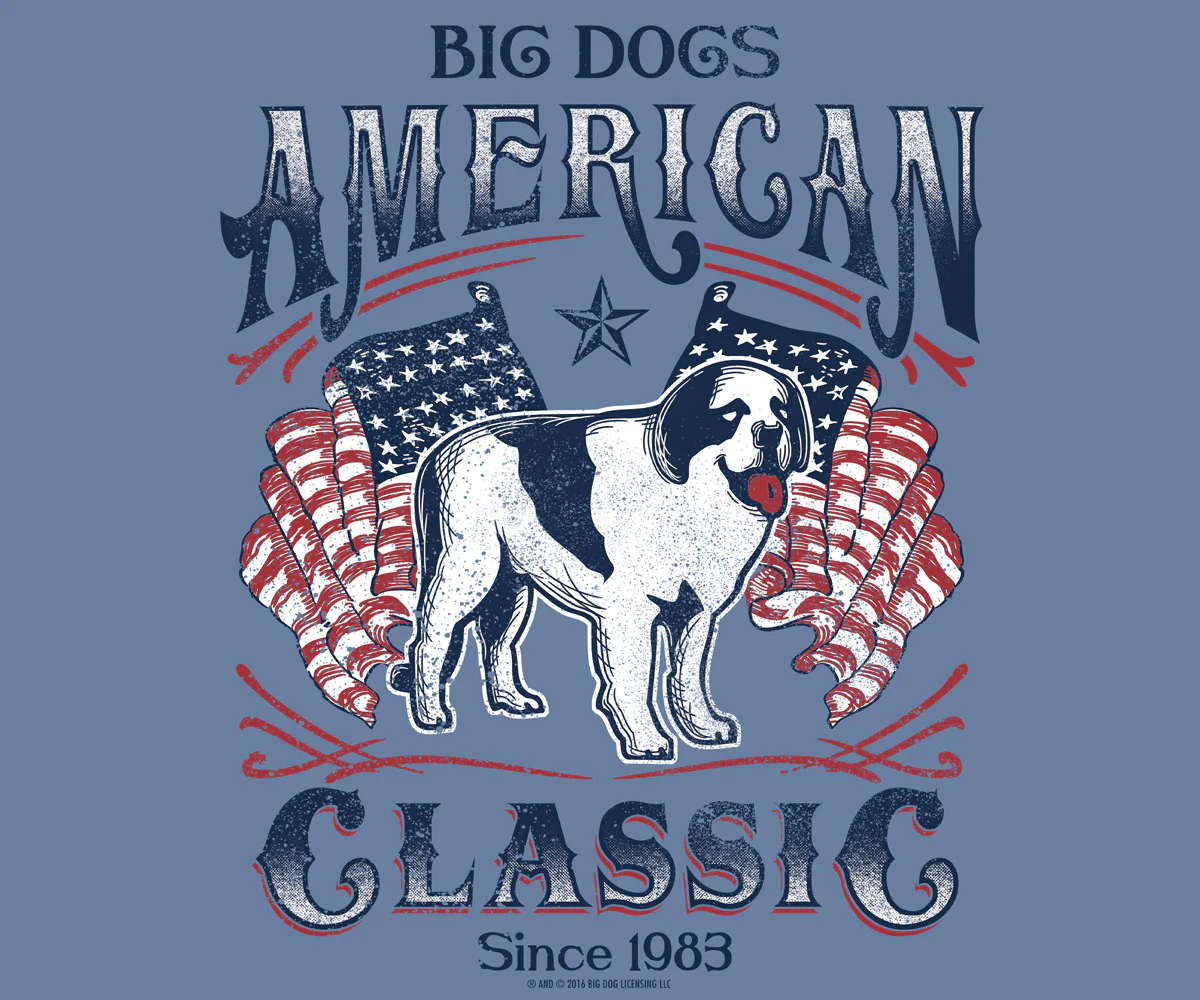 American Classic T-Shirt - Image 2
