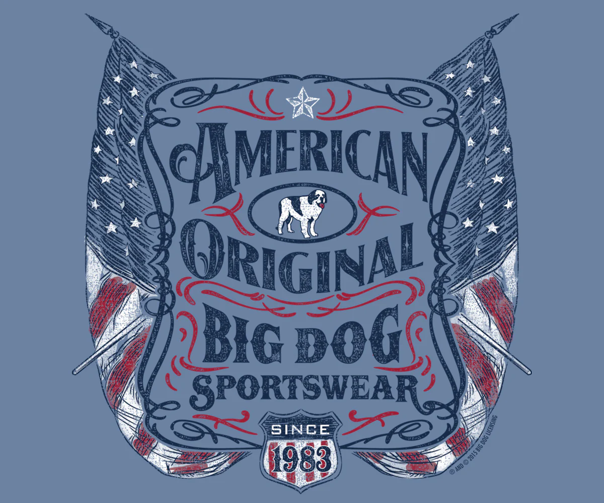 American Original T-Shirt - Image 2