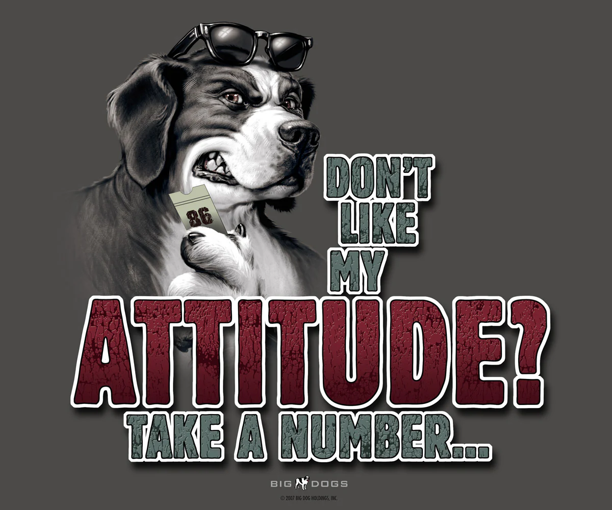 Attitude Take A Number T-Shirt - Image 2
