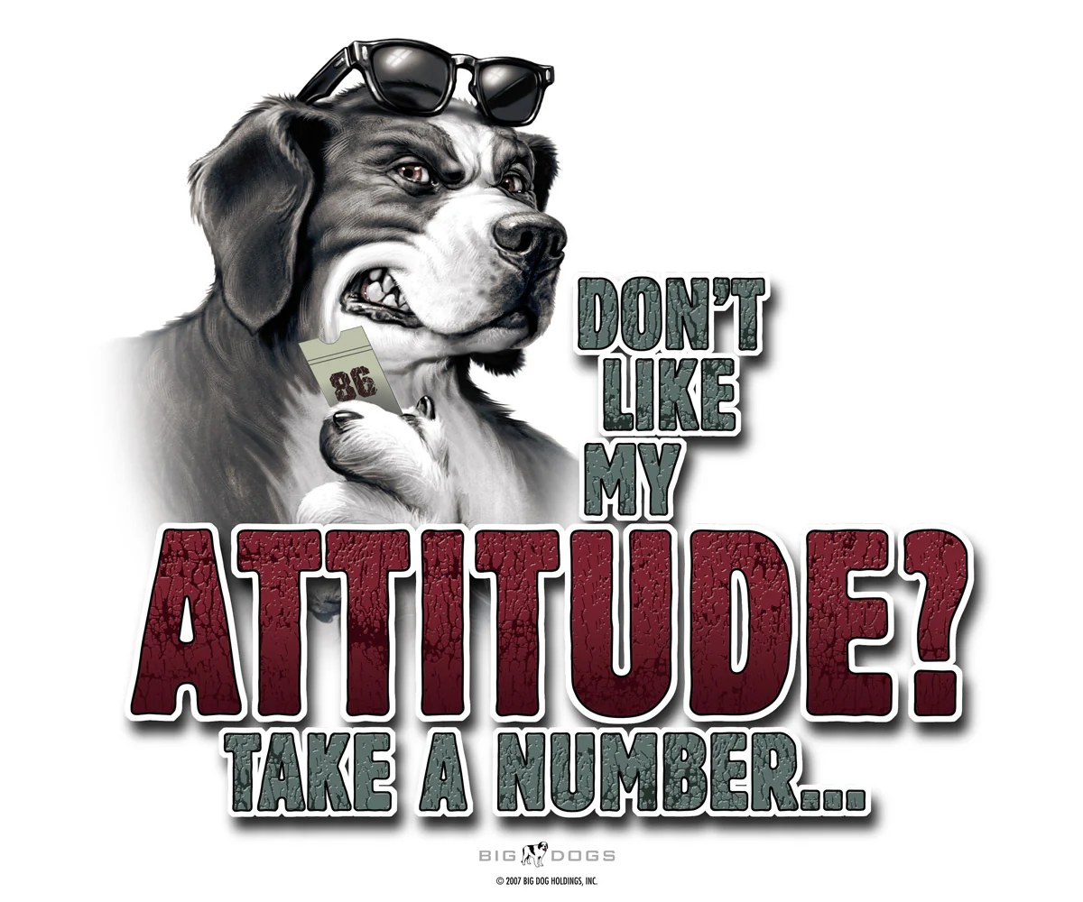Attitude Take A Number T-Shirt - Image 2