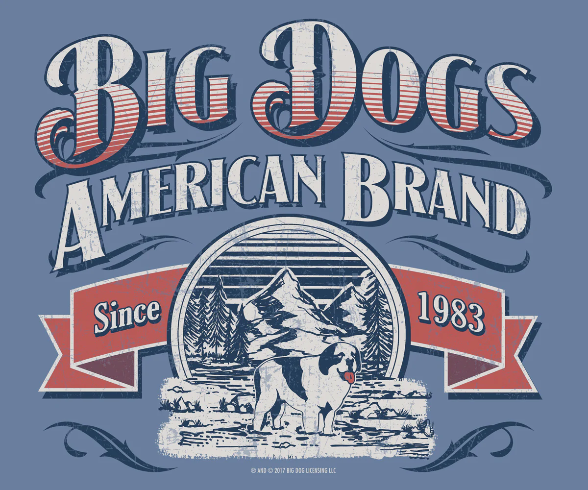 Bd American Brand T-Shirt - Image 2