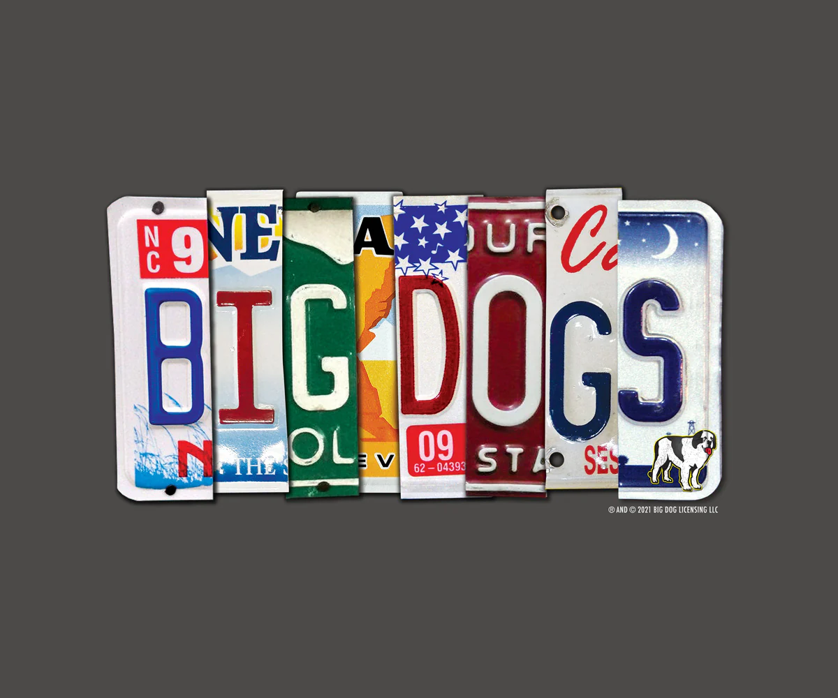 Bd License Plate T-Shirt - Image 2