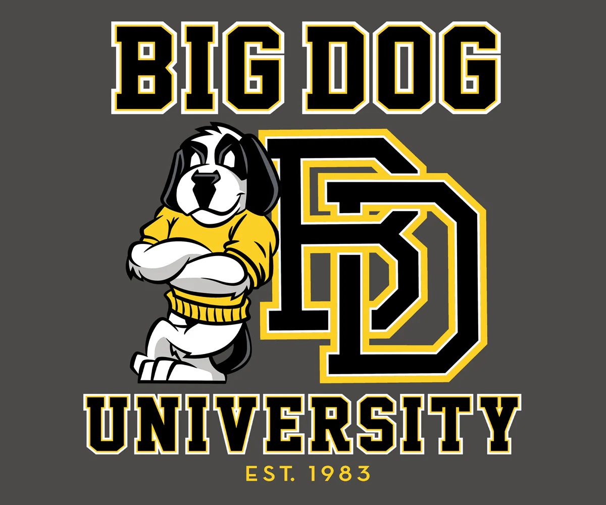 Bd University Black Gold T-shirt - Image 2