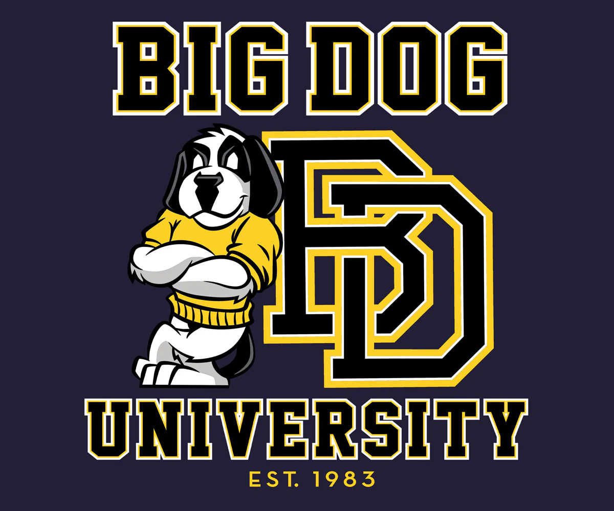 Bd University Black Gold T-shirt - Image 2
