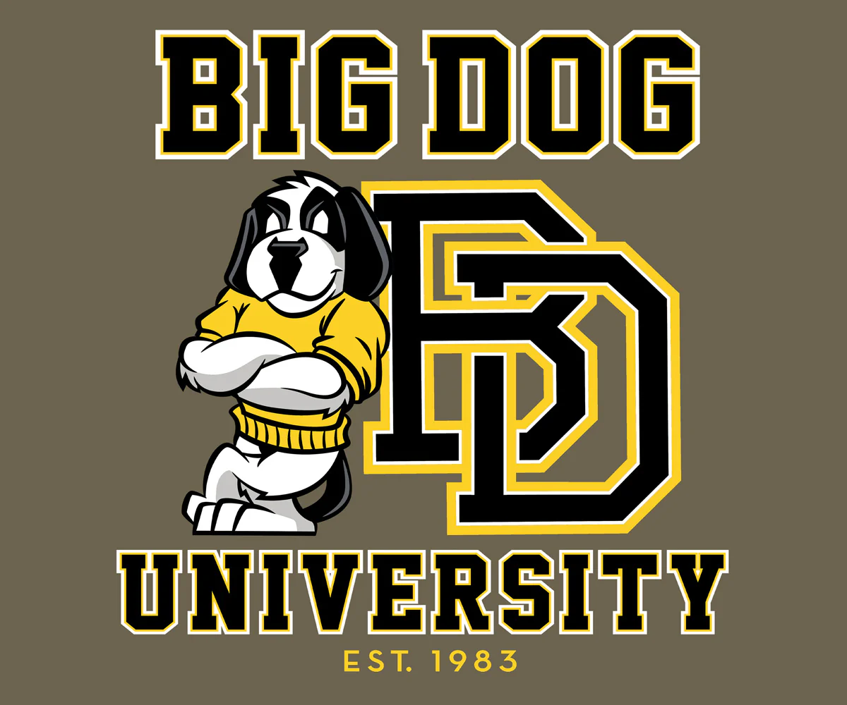 Bd University Black Gold T-shirt - Image 2