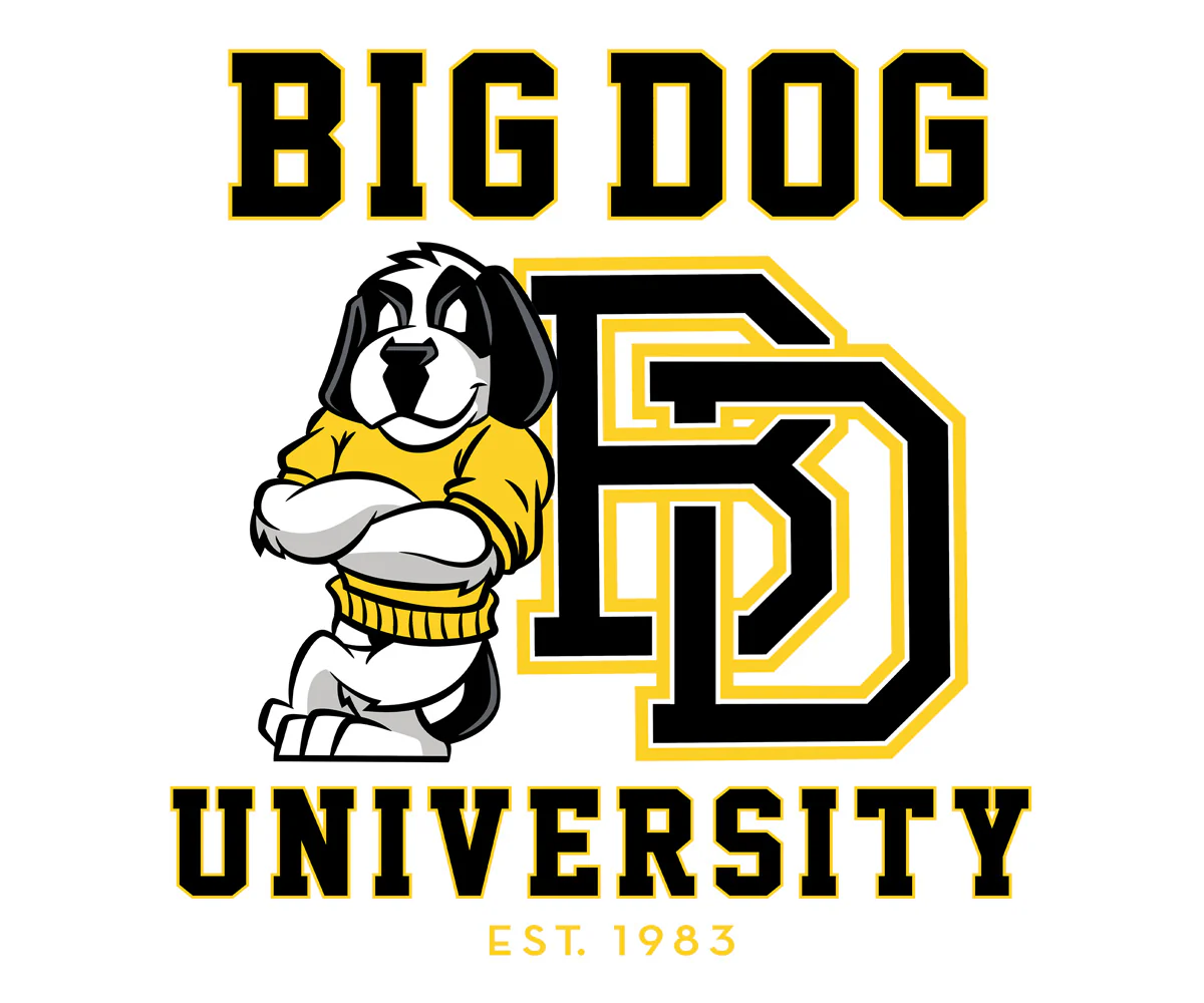 Bd University Black Gold T-shirt - Image 2