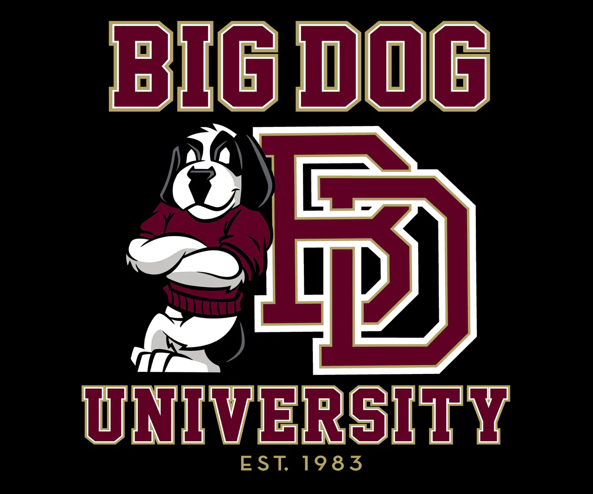Bd University Burgundy Gold T-shirt - Image 2