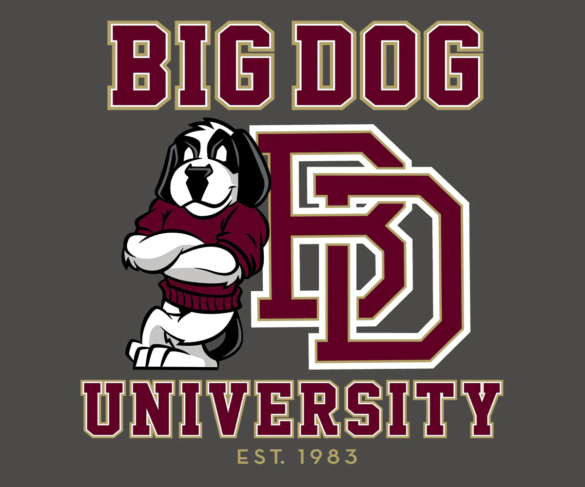 Bd University Burgundy Gold T-shirt - Image 2