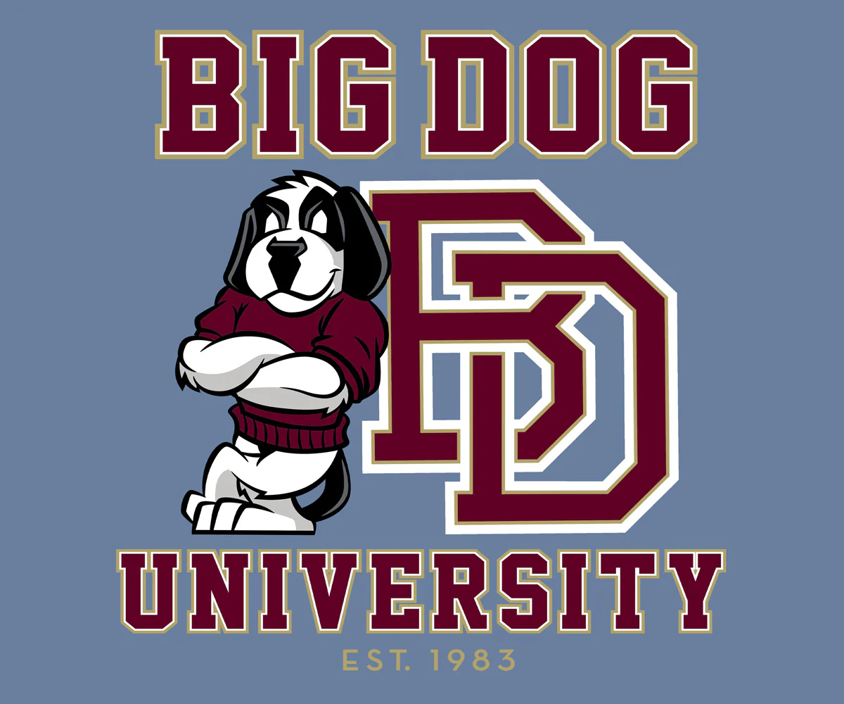 Bd University Burgundy Gold T-shirt - Image 2