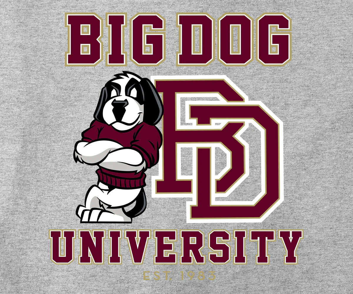 Bd University Burgundy Gold T-shirt - Image 2