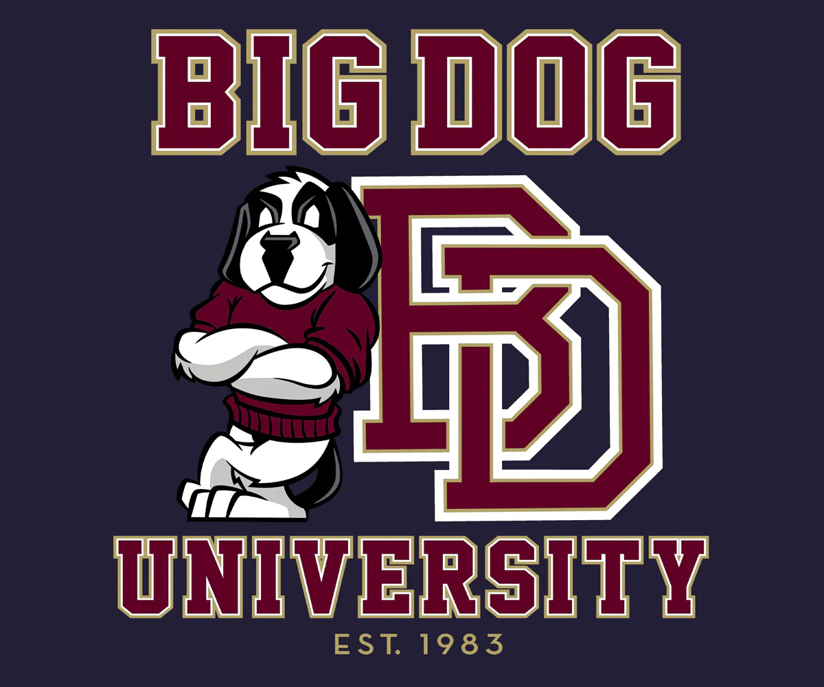 Bd University Burgundy Gold T-shirt - Image 2