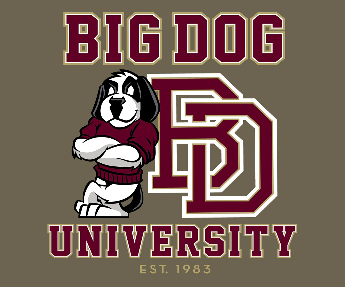 Bd University Burgundy Gold T-shirt - Image 2