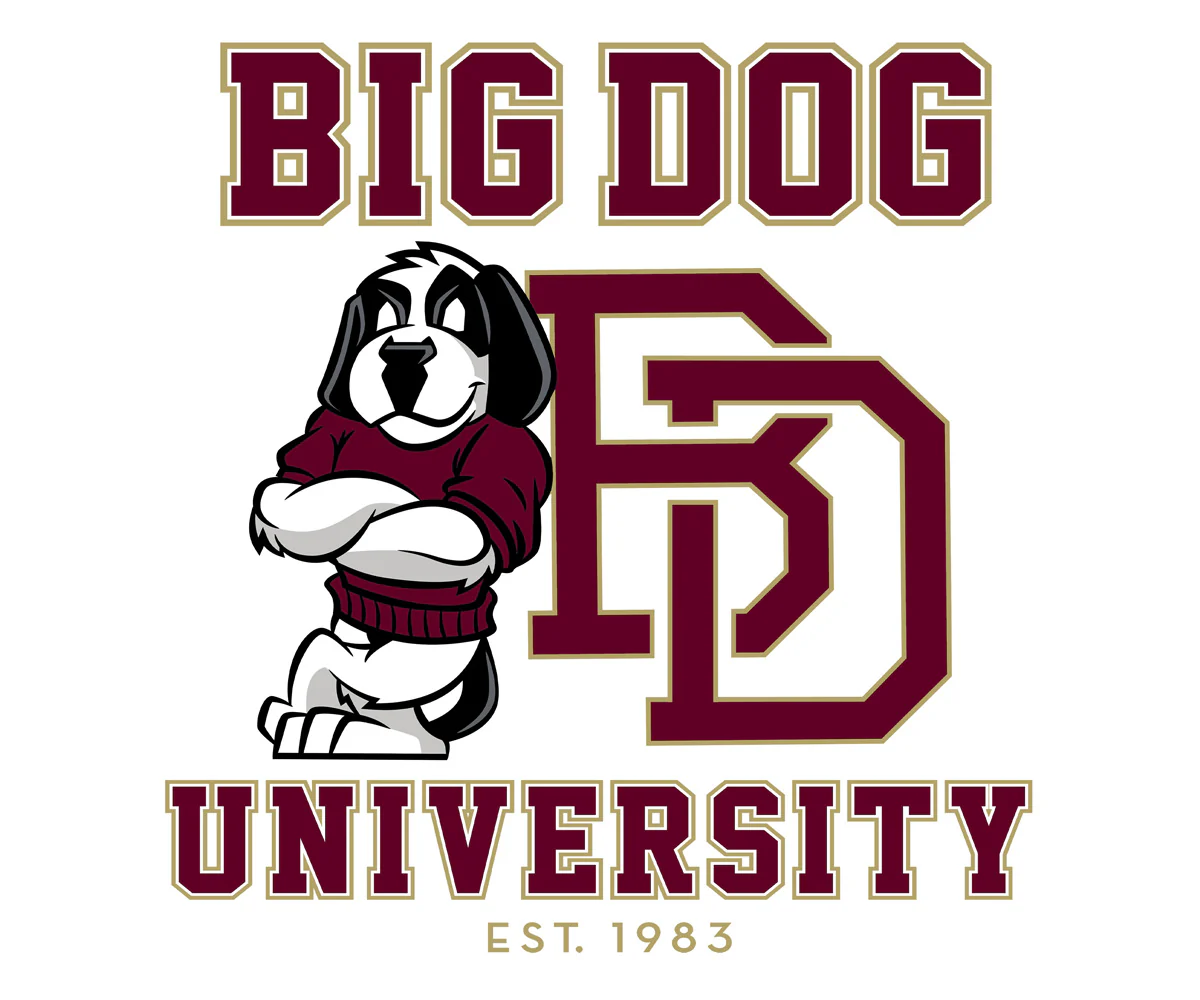 Bd University Burgundy Gold T-shirt - Image 2