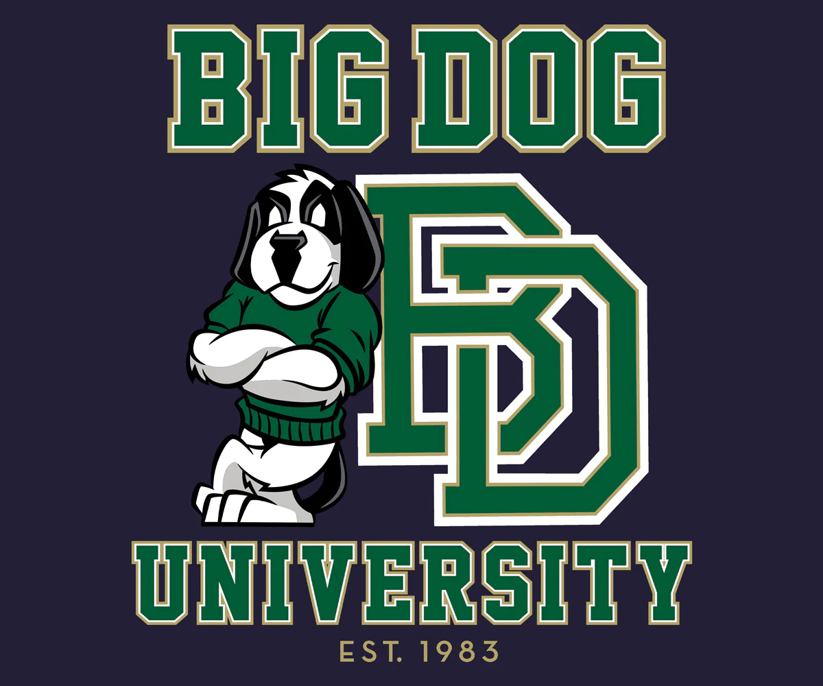 Bd University Green Gold T-Shirt - Image 2