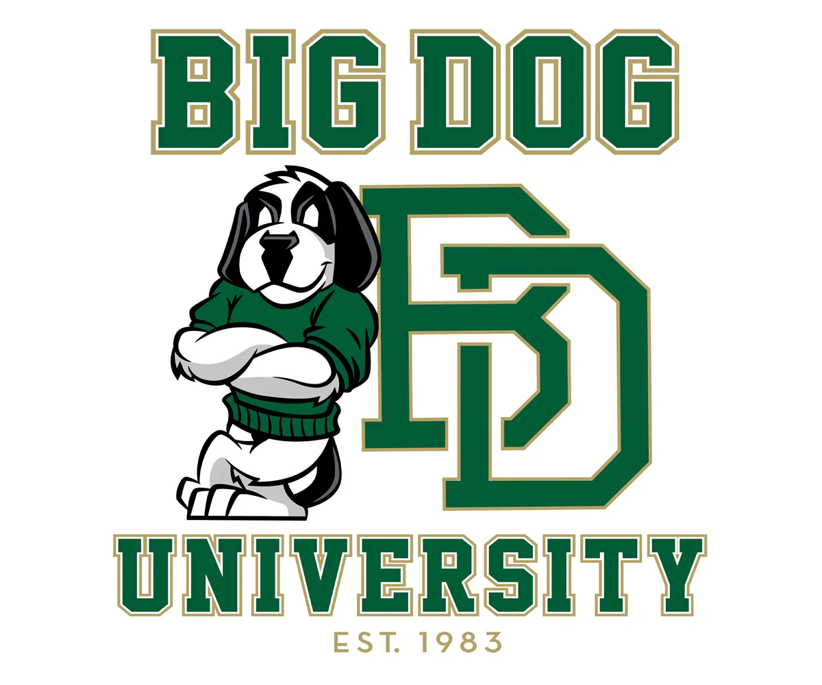 Bd University Green Gold T-Shirt - Image 2