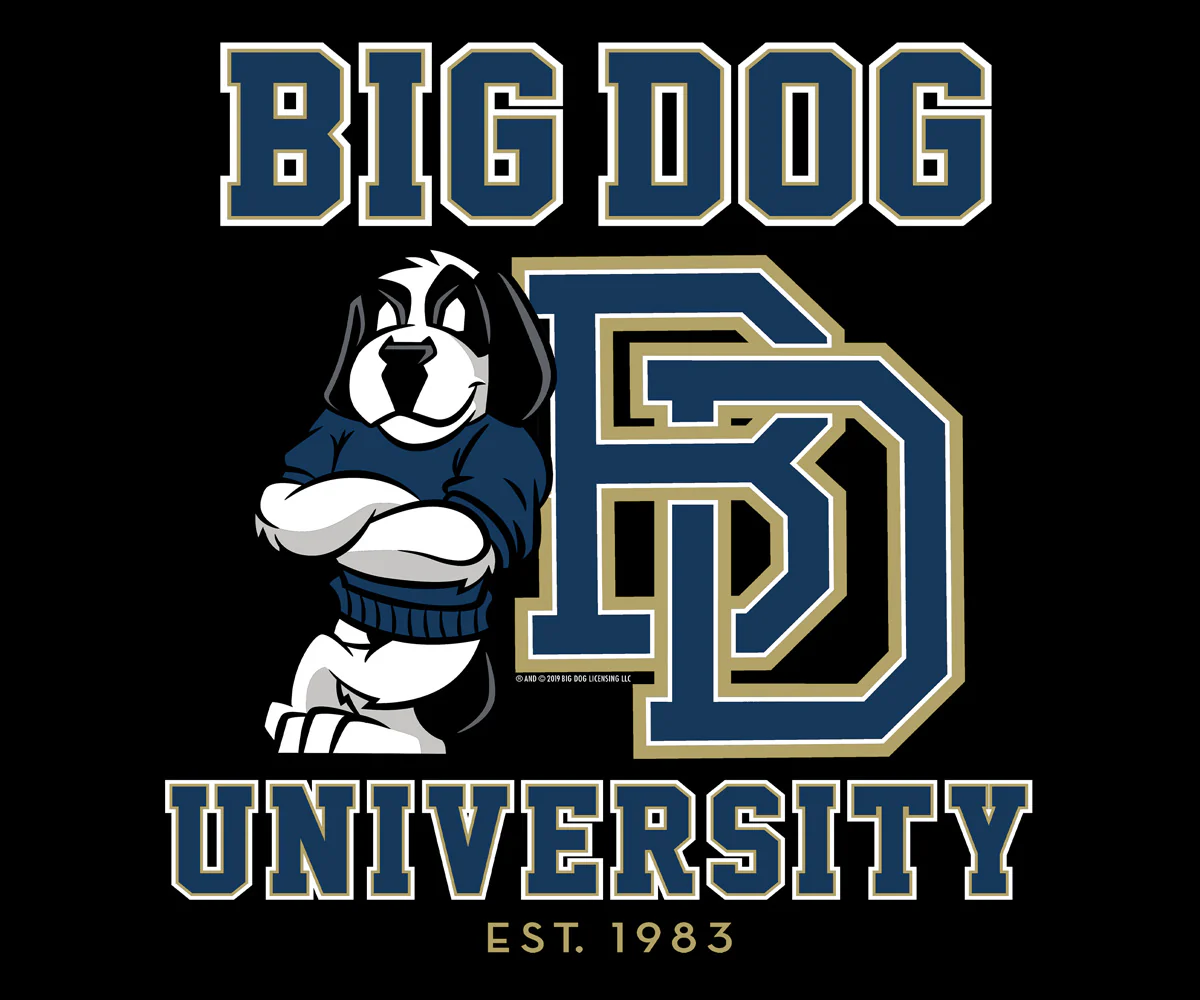 Bd University Navy Gold T-shirt - Image 2
