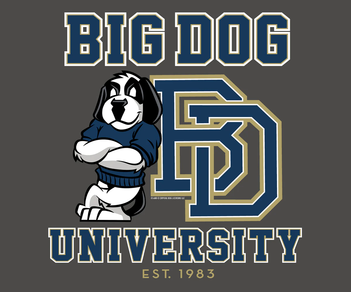 Bd University Navy Gold T-shirt - Image 2