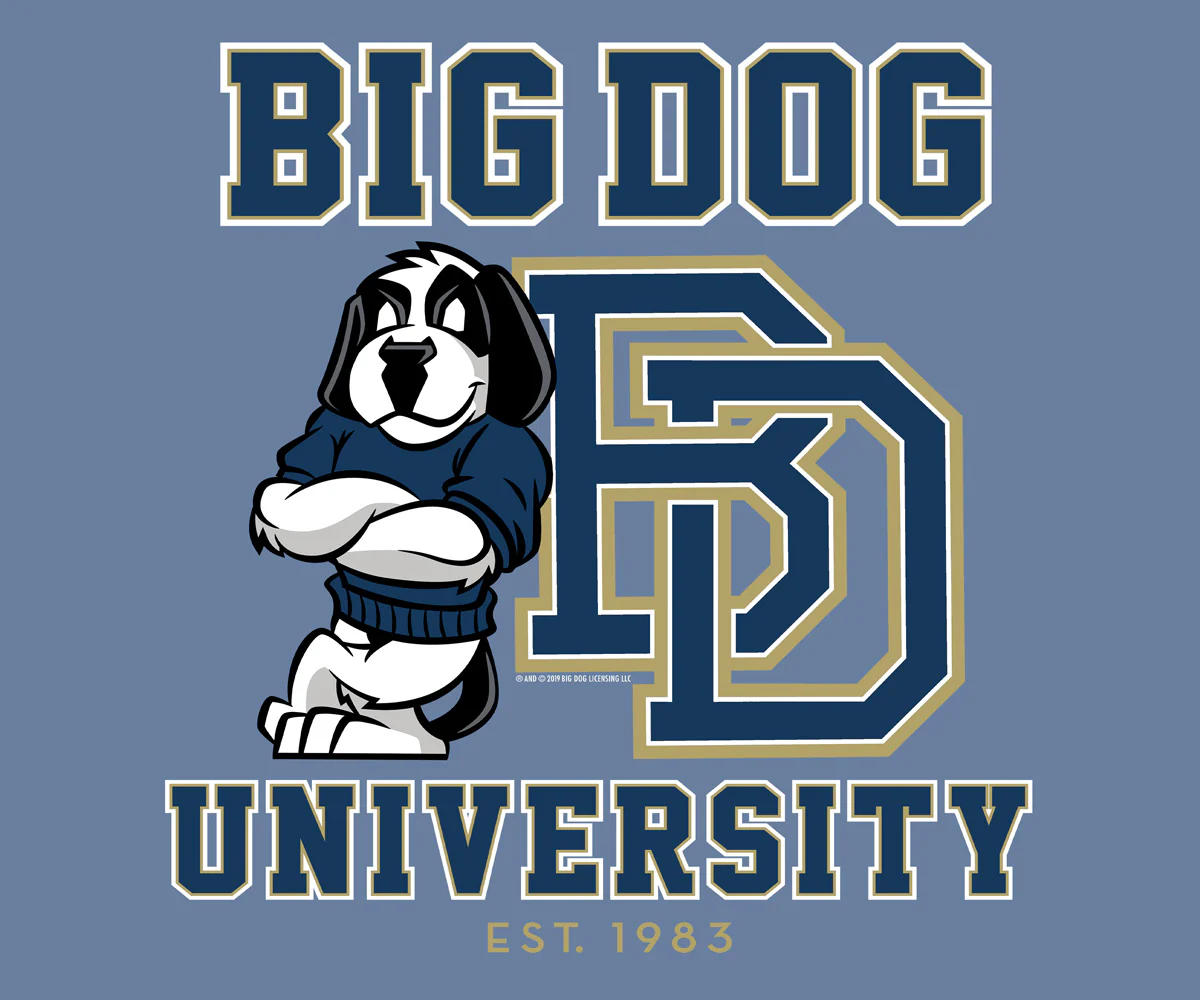 Bd University Navy Gold T-shirt - Image 2