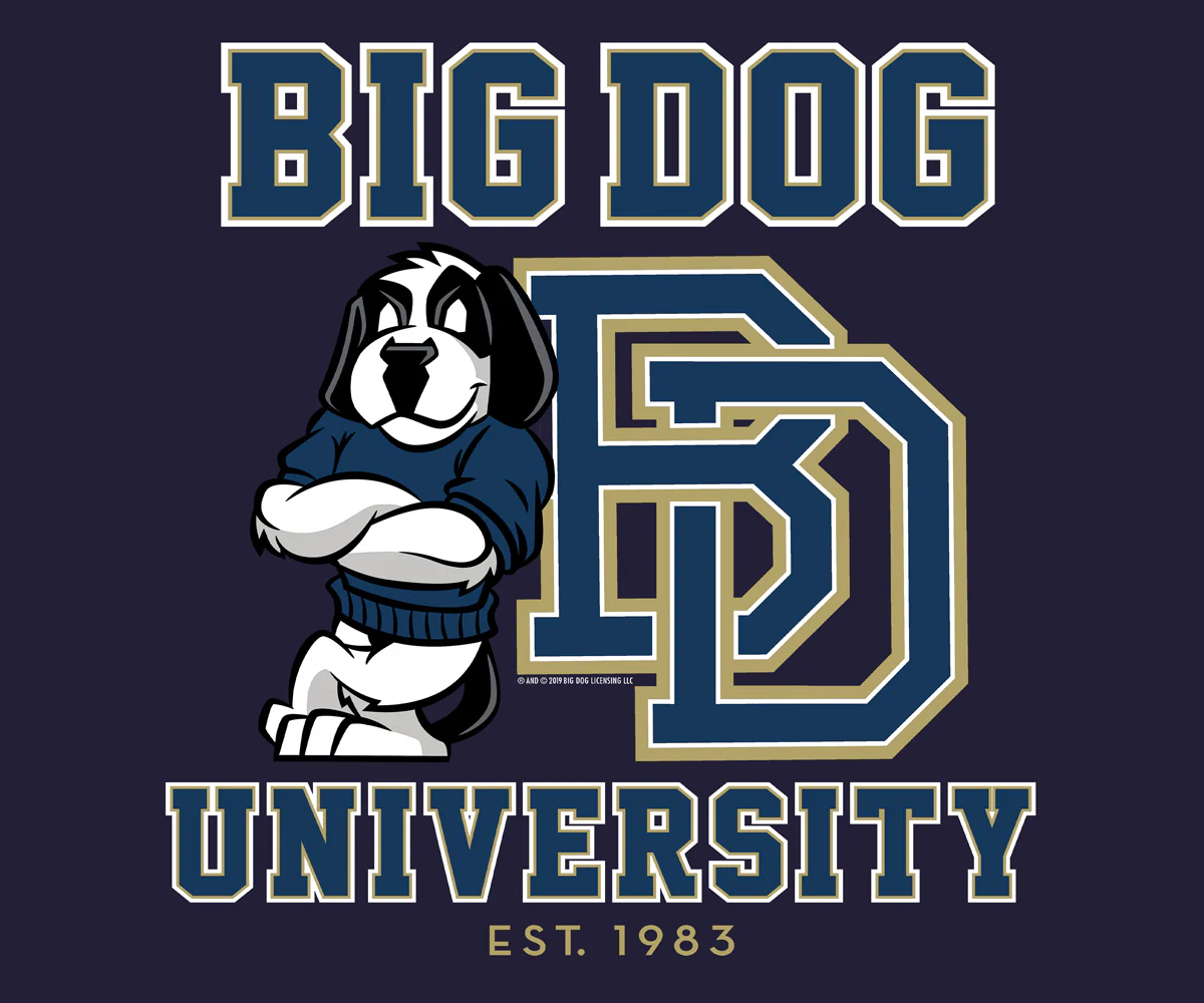 Bd University Navy Gold T-shirt - Image 2