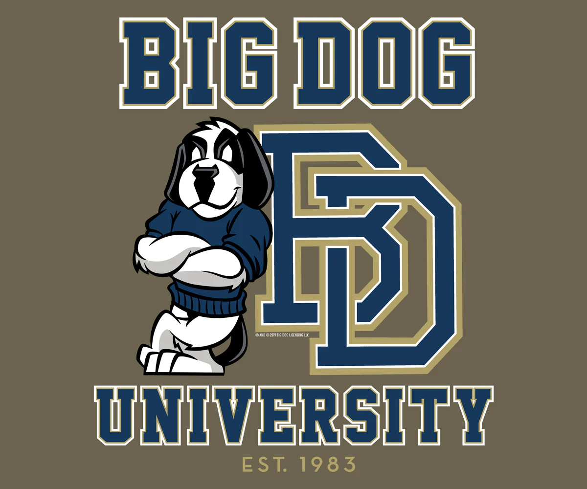 Bd University Navy Gold T-shirt - Image 2