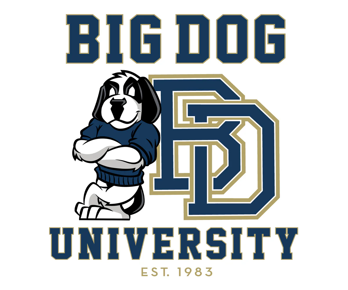 Bd University Navy Gold T-shirt - Image 2