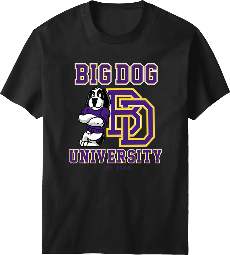 Bd University Purple Gold T-shirt