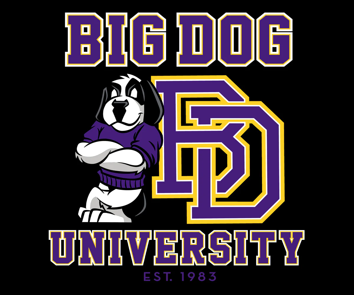 Bd University Purple Gold T-shirt - Image 2