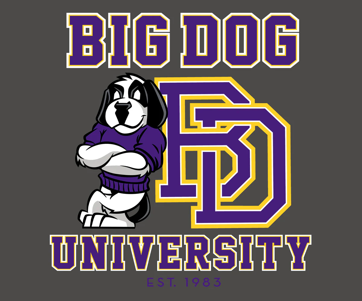 Bd University Purple Gold T-shirt - Image 2