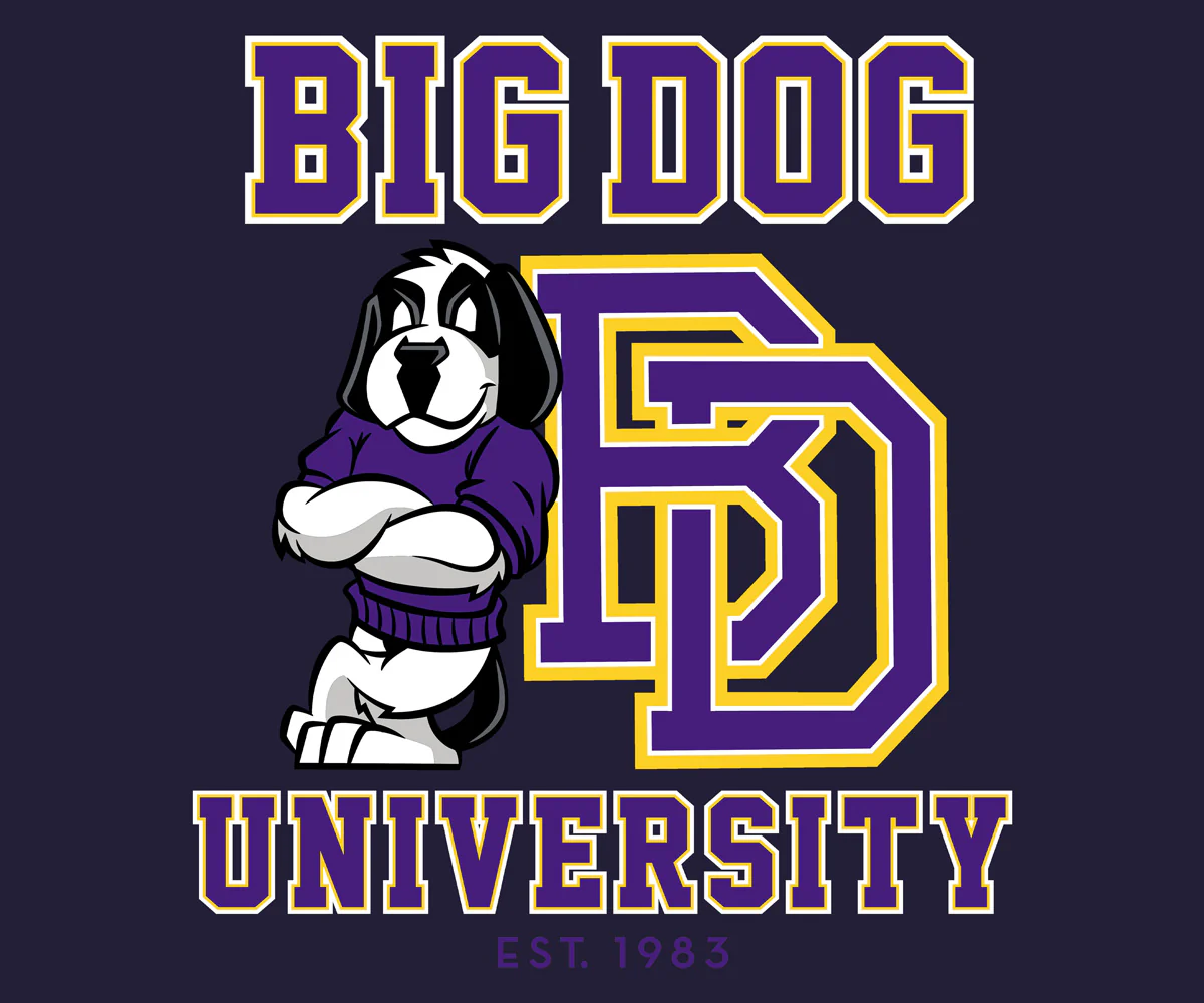 Bd University Purple Gold T-shirt - Image 2