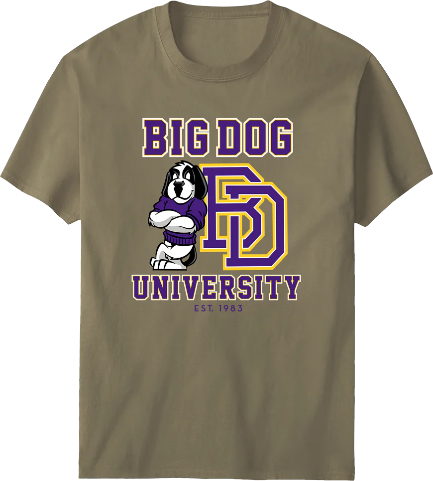 Bd University Purple Gold T-shirt