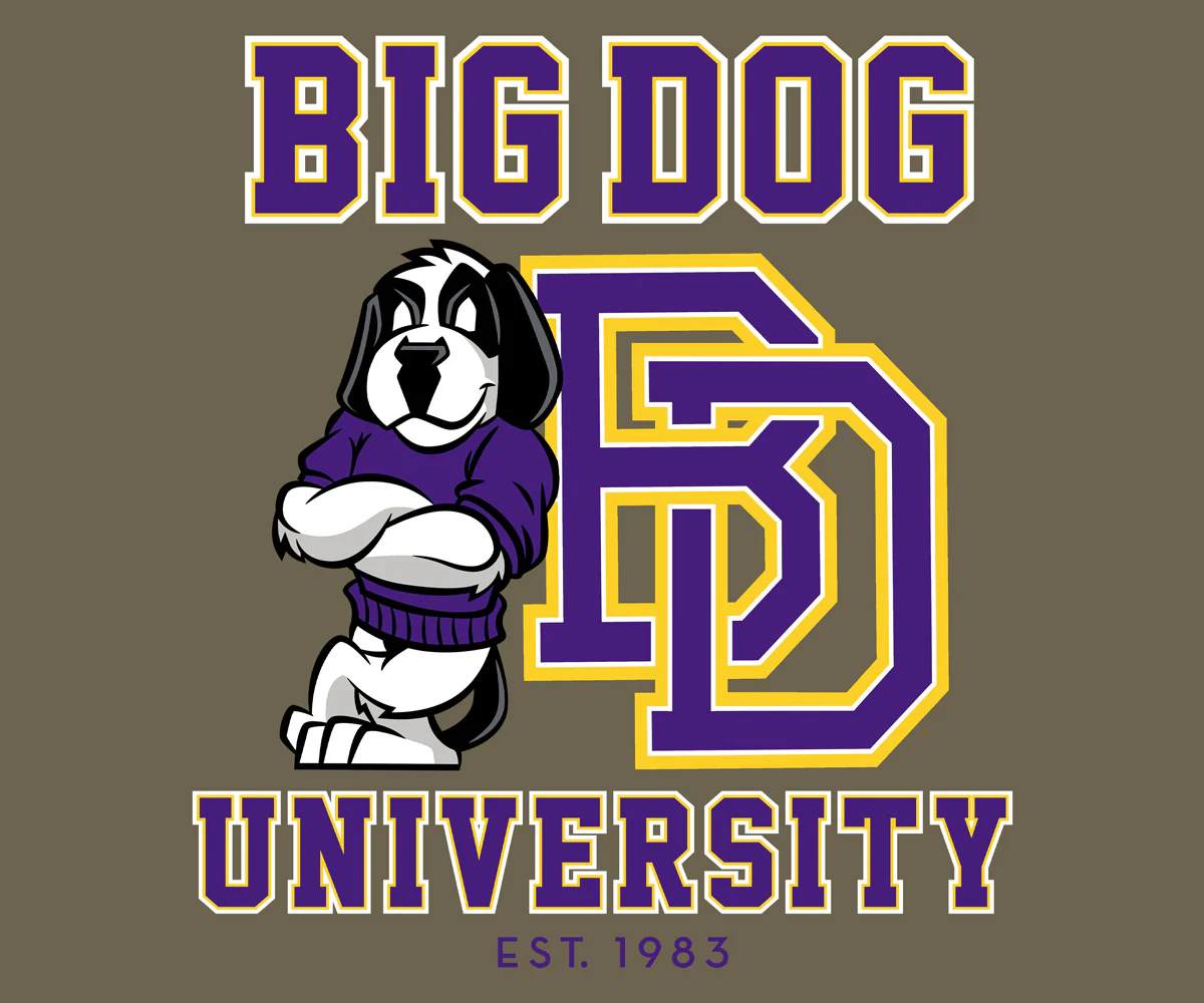 Bd University Purple Gold T-shirt - Image 2