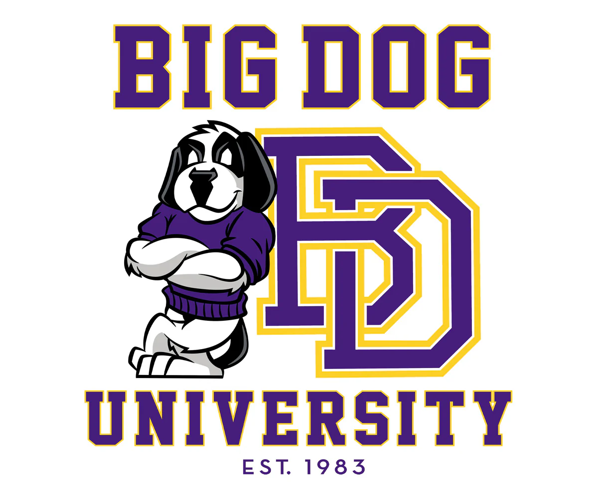 Bd University Purple Gold T-shirt - Image 2