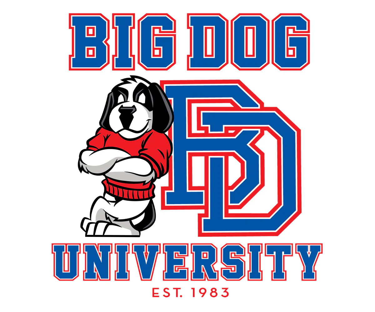 Bd University Red Blue T-shirt - Image 2