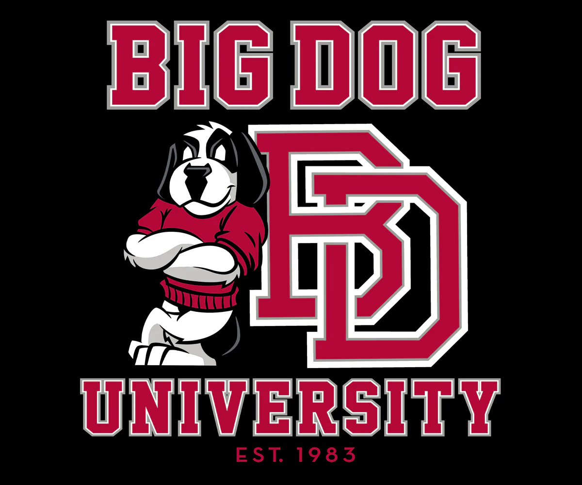 Bd University Red Gray T-shirt - Image 2