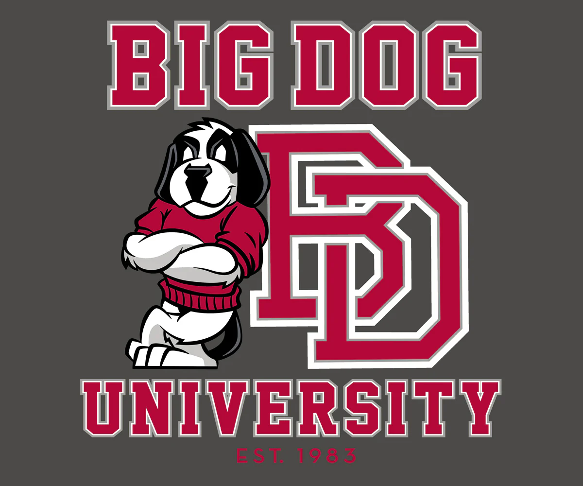 Bd University Red Gray T-shirt - Image 2