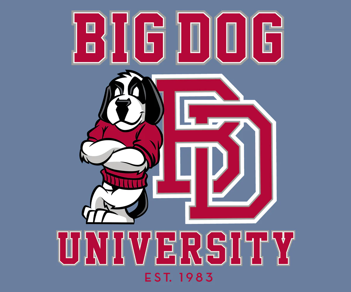 Bd University Red Gray T-shirt - Image 2