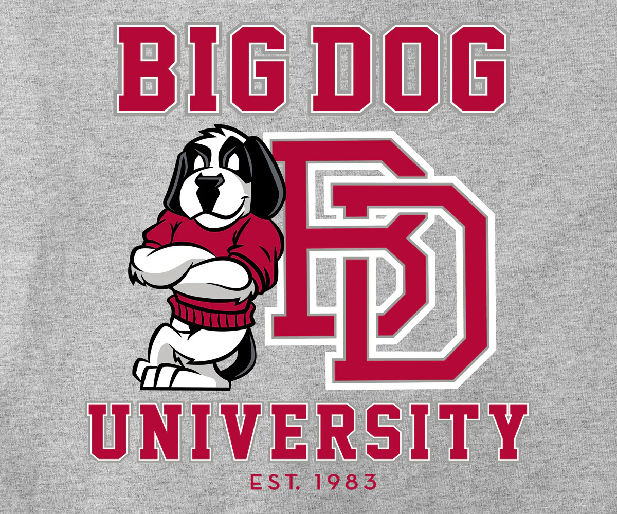 Bd University Red Gray T-shirt - Image 2