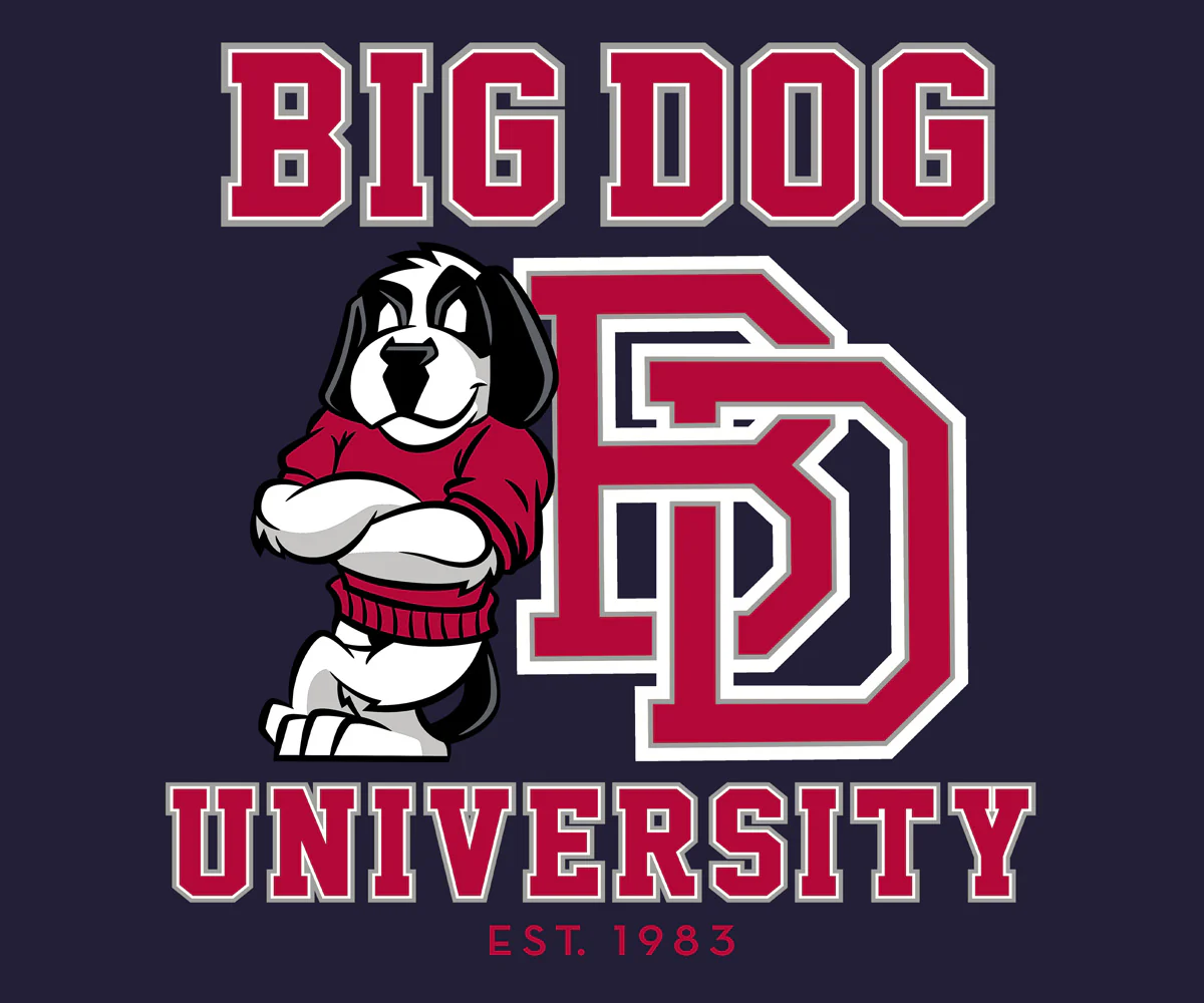 Bd University Red Gray T-shirt - Image 2