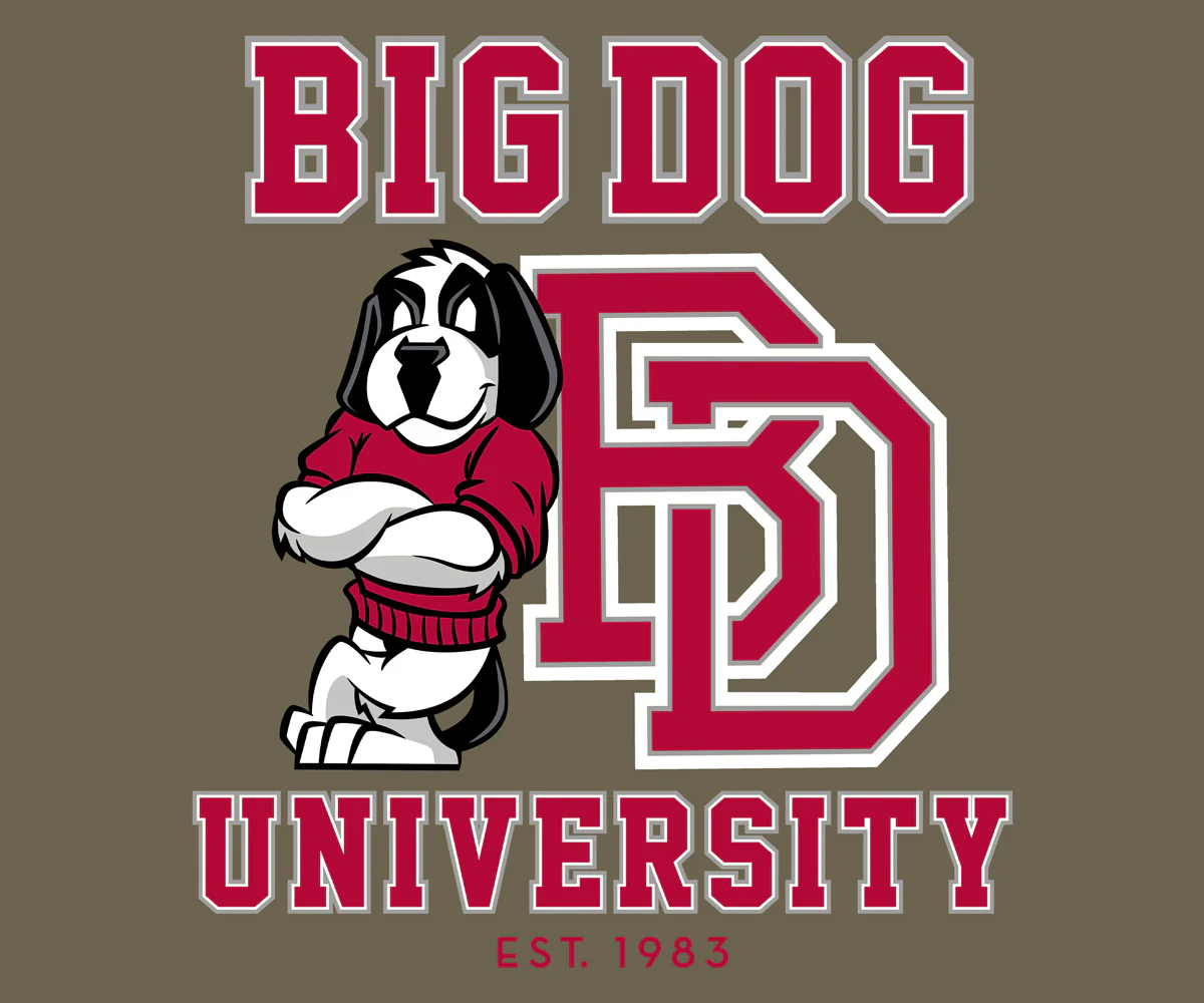 Bd University Red Gray T-shirt - Image 2