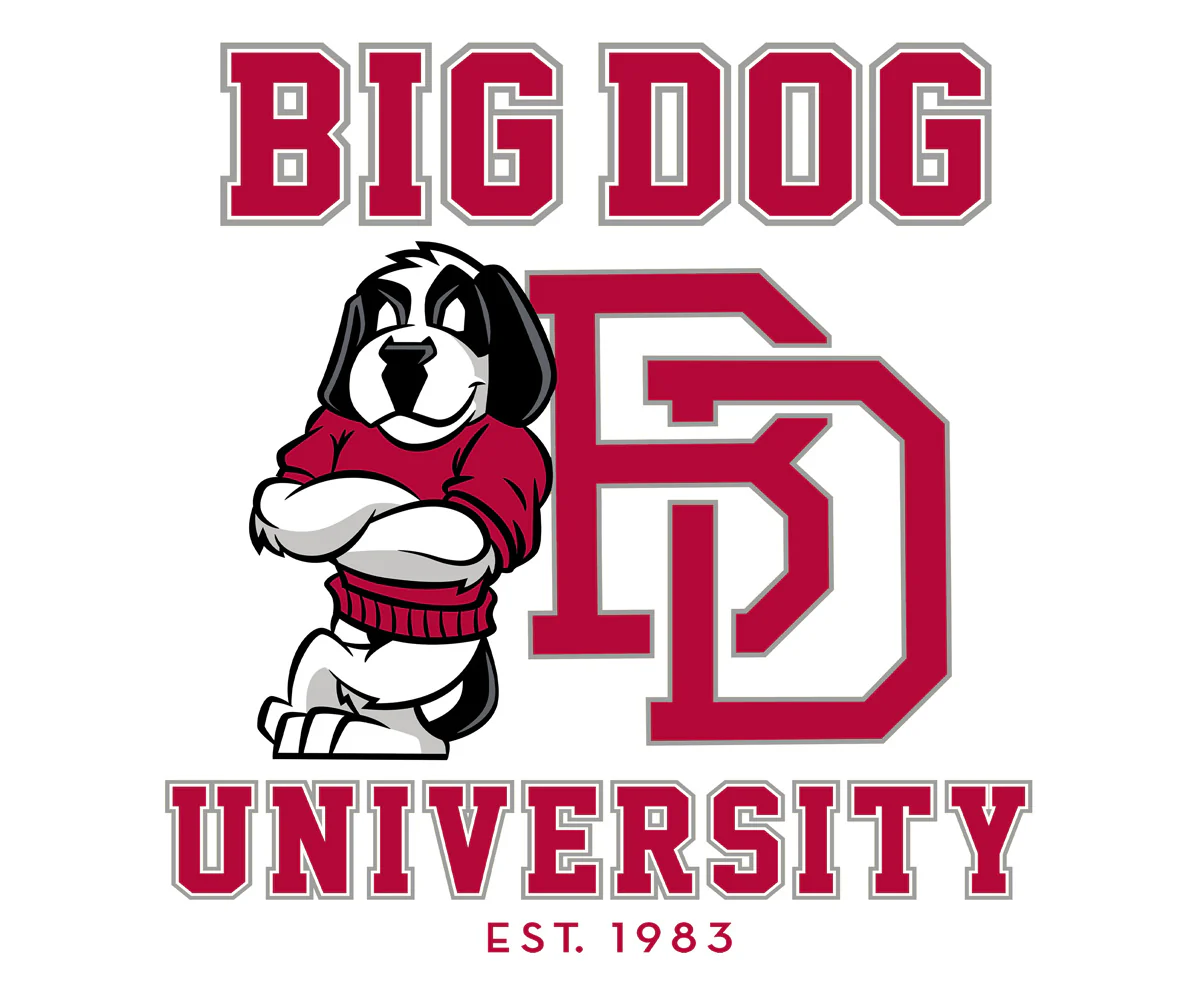 Bd University Red Gray T-shirt - Image 2