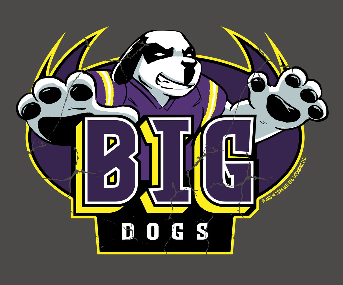 BDCF Louisiana T-shirt - Image 2