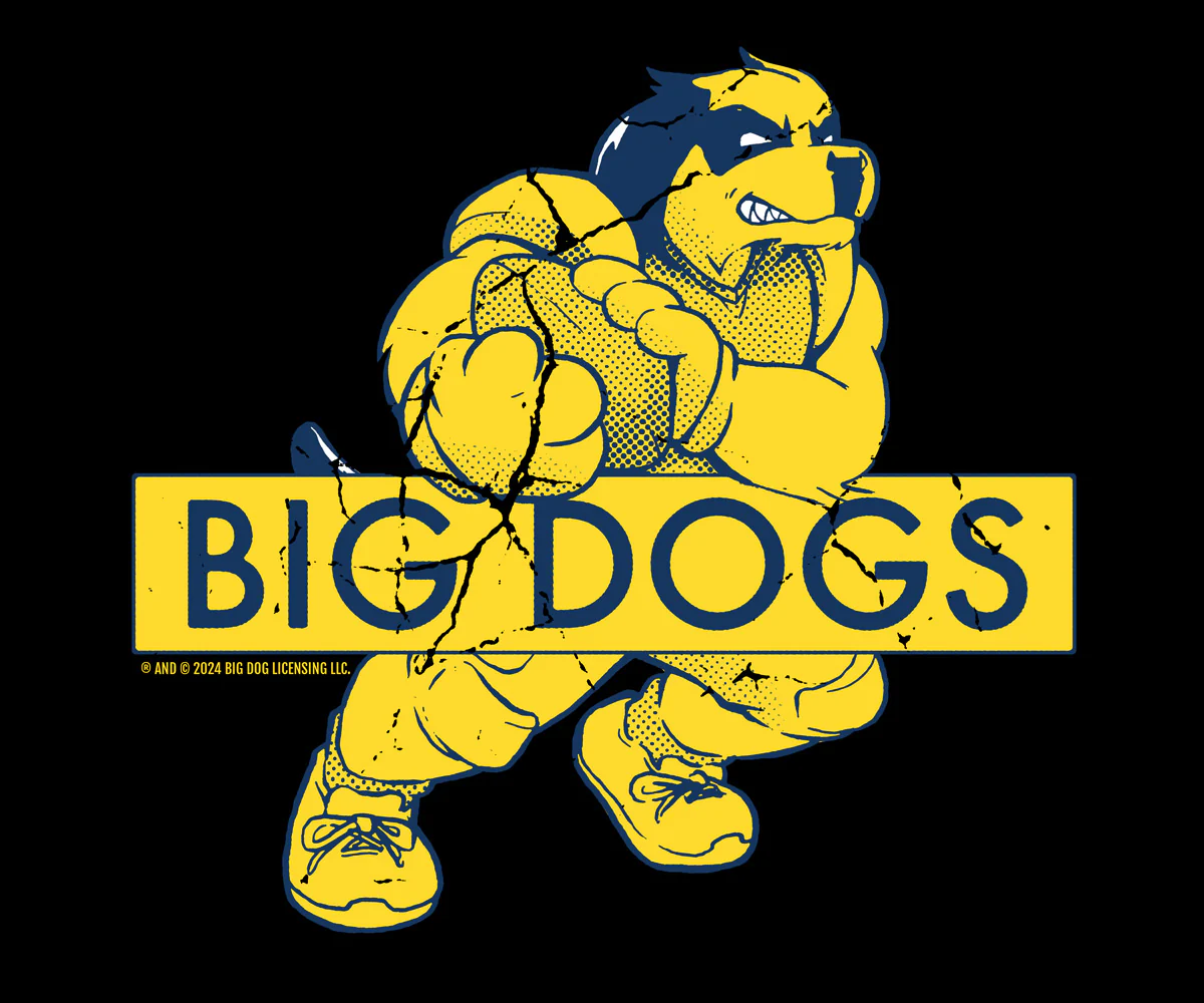 BDCF Michigan T-shirt - Image 2