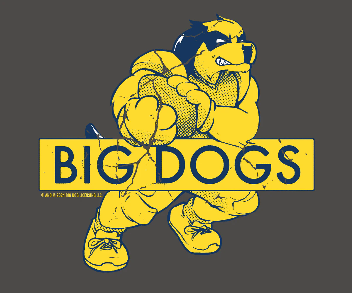 BDCF Michigan T-shirt - Image 2