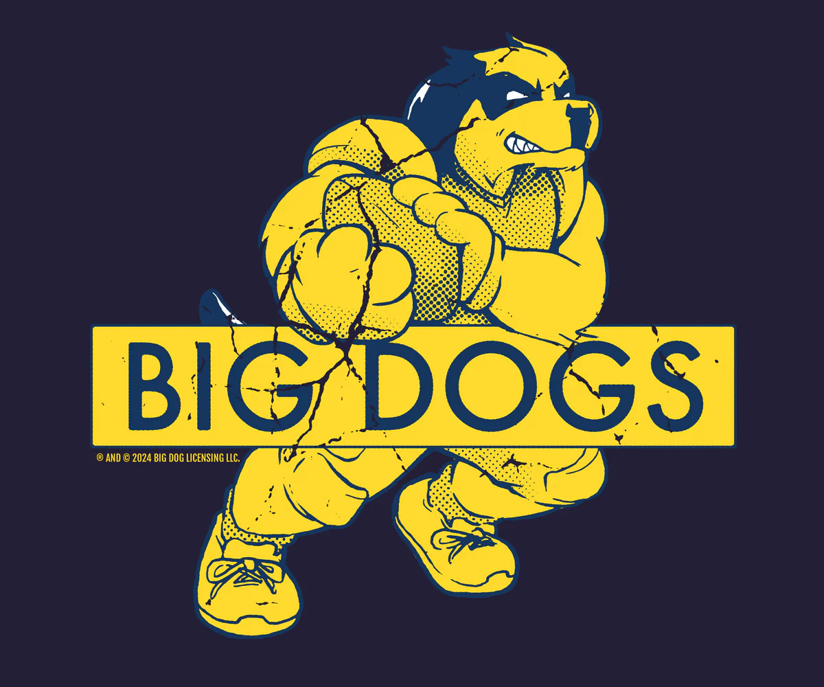 BDCF Michigan T-shirt - Image 2