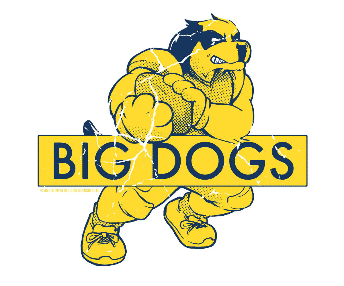 BDCF Michigan T-shirt - Image 2