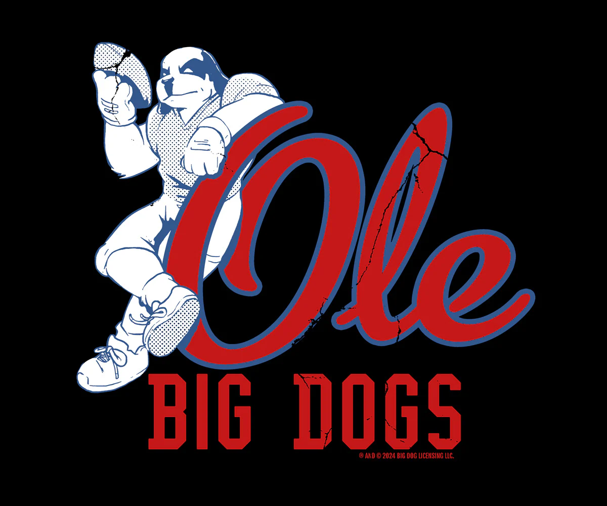 BDCF Mississippi T-shirt - Image 2