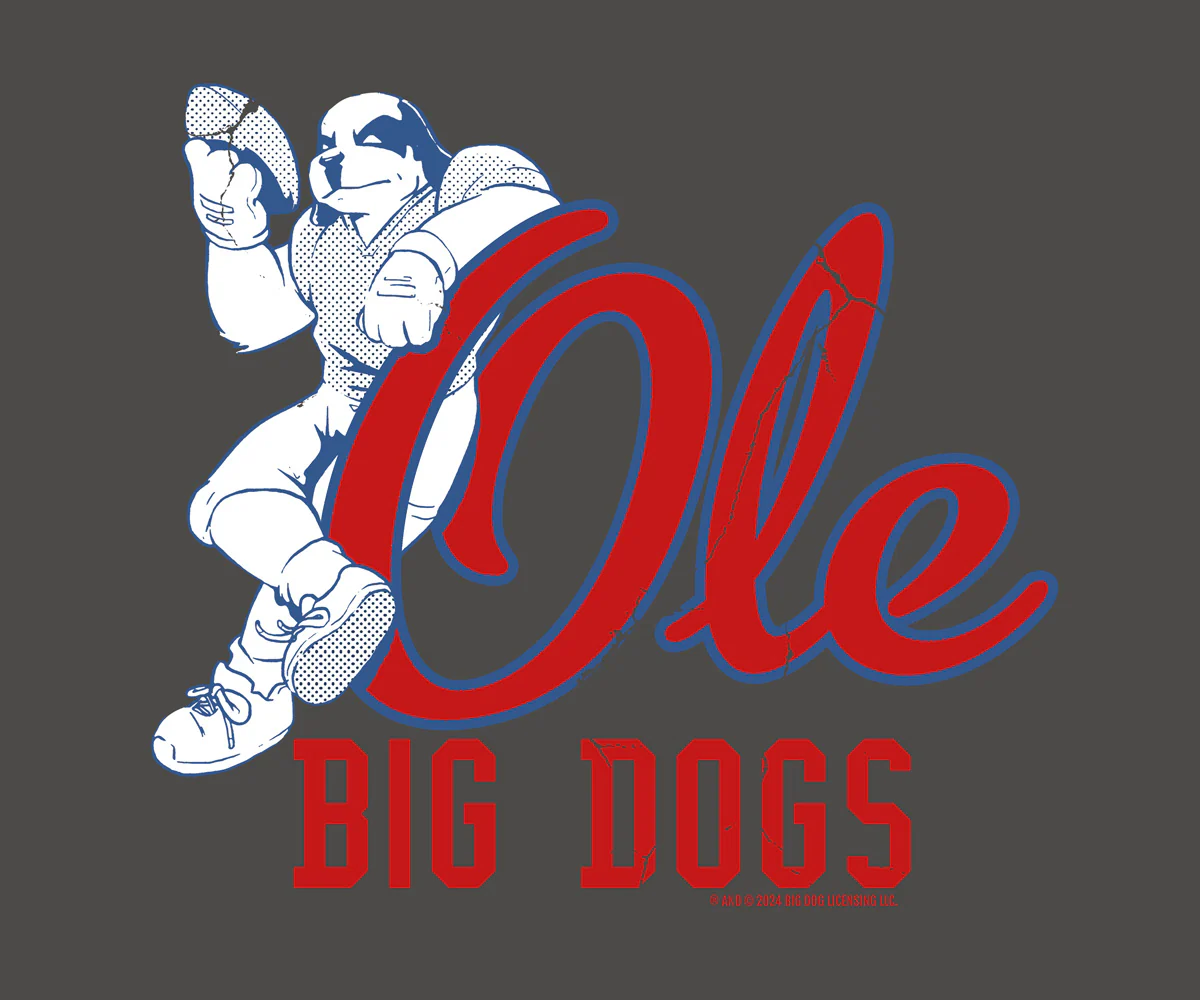 BDCF Mississippi T-shirt - Image 2